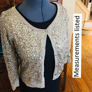 American eagle silver Sequined sweater